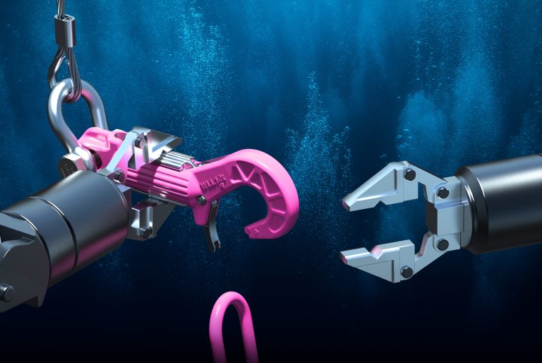 RUD ROV HOOK 10 & 25T