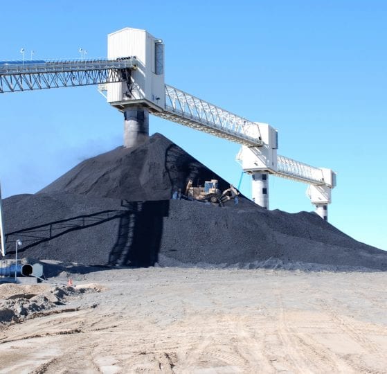 Extensive Lifting Capacity