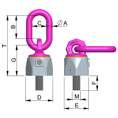 VWBG-V metric thread